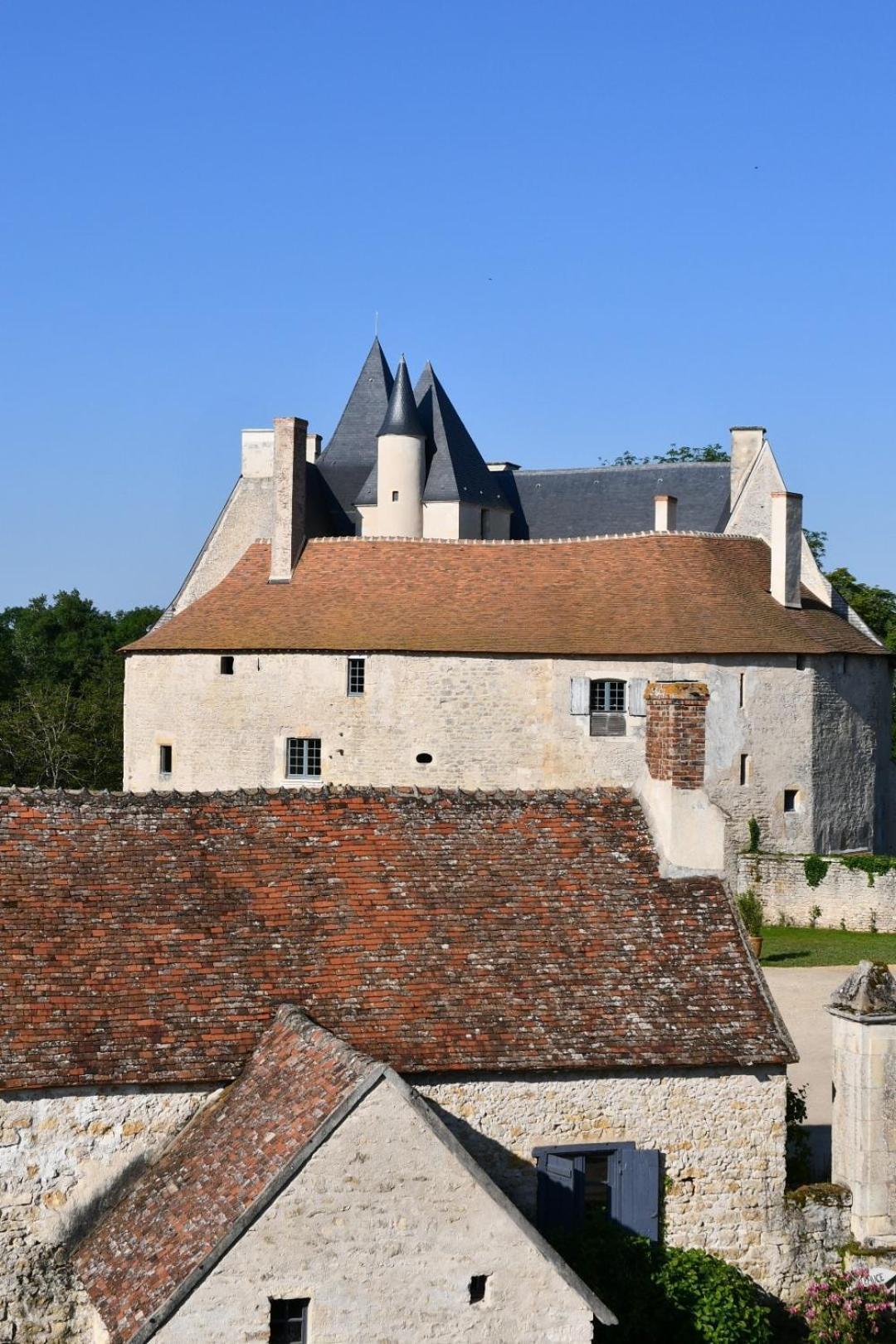 Chateau De Meauce, Gite Du Vigneron Saincaize-Meauce 外观 照片